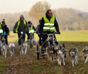 Howling Dogs 17 Sports Canins Attelés Howling Dogs 17 Sports Canins Attelés