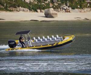 Speed Boat La Rochelle - Balade En Mer  