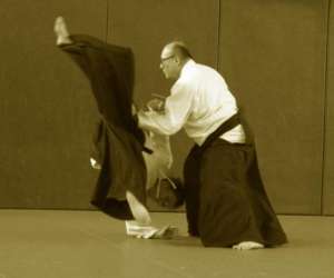 Aikido Kobudo Club Parthenay