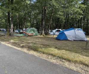 photo Camping les petites minaudires St Sauveur 7549
