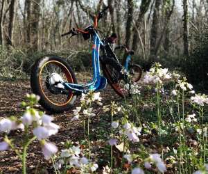 photo Trott in charente Criteuil La Magdeleine 7626