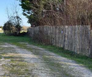 photo Henriette et ginette Pommiers Moulons 7743