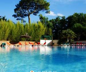 Les Pins De Sel