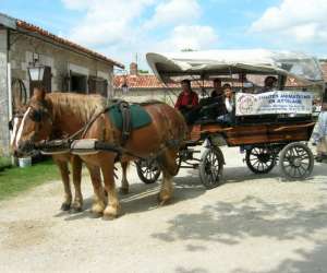 Caval tour 16 Caval tour 16