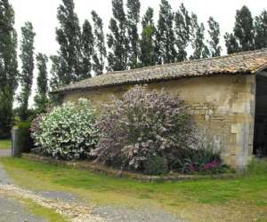 photo Maison d'htes de la groie l'abbe Celles Sur Belle 6139