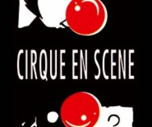 Cirque En Scne