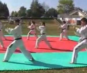 Ecole Niortaise De Taekwondo Ecole Niortaise De Taekwondo