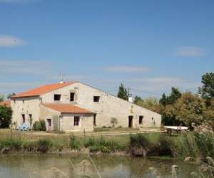 La Cabane Des Frnes