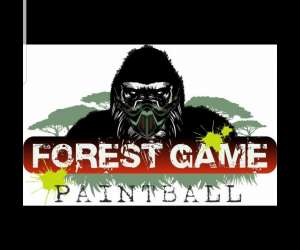 Forest game paintball