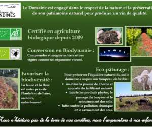 photo Domaine les  ondines  -  jrmy onde Sarrians 16805