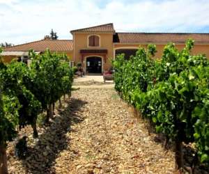 photo Domaine les  ondines  -  jrmy onde Sarrians 16809