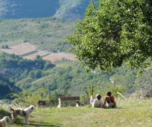 photo Camping  la ferme bamboul'ne Barret Le Bas 17002