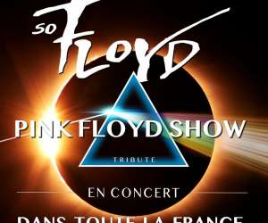 photo So floyd - the pink floyd tribute St Maximin La Ste Baume 17144