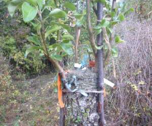 Les Petits Fruits Des Baronnies Les Petits Fruits Des Baronnies