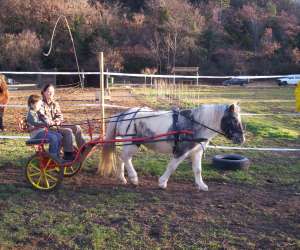 photo Attel' style  tourisme  equestre  promenades  cheval Allemagne En Provence 2336