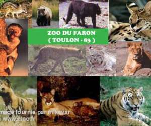 Zoo Du Mont Faron