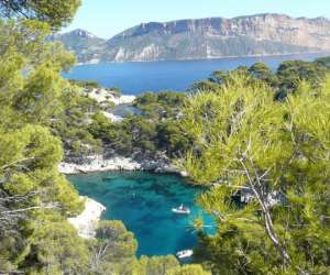 photo Tournesol evasions tourisme Cucuron 2443
