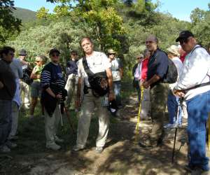 Tournesol Evasions Tourisme