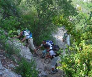 photo Tournesol evasions tourisme Cucuron 2447