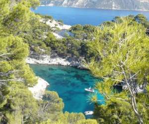 photo Tournesol evasions tourisme Cucuron 2854