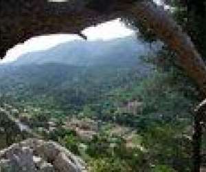 photo Tournesol evasions tourisme Cucuron 3344