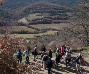 photo Tournesol evasions tourisme Cucuron 3346