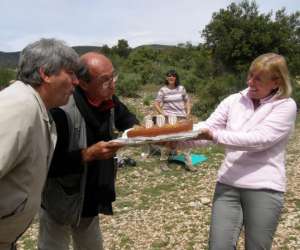 photo Tournesol evasions tourisme Cucuron 3756