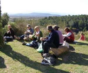 photo Tournesol evasions tourisme Cucuron 3757