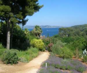 photo H�tel la rotonde La Ciotat 10233