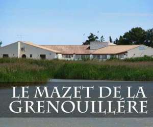 Mazet De La Grenouillre