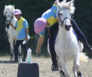 Centre Equestre