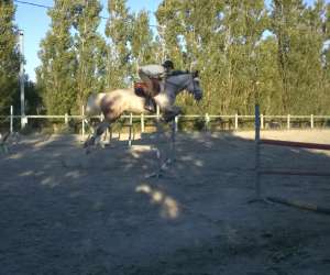 photo Ecurie equit art Chateauneuf Les Martigues 7476