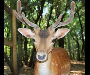 photo Aoubre l'aventure nature ' accrobranche' Flassans Sur Issole 15877