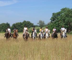 Relais Equestre De La Ferme