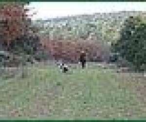 photo Domaine la daumasse Signes 9552