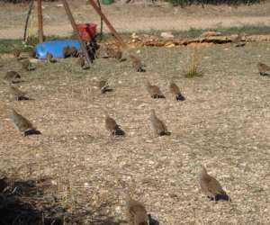 photo Domaine la daumasse Signes 9556