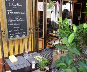 photo Chat plume Villeneuve Loubet 4411