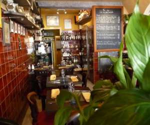 photo Chat plume Villeneuve Loubet 4412