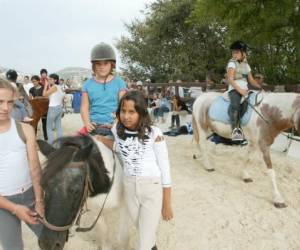 Poney Club Ecole Equitation