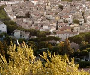 photo Camping provence valle Manosque 11547