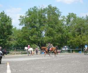 photo Centre equestre pegase St Michel L Observatoire 2599
