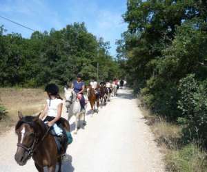 photo Centre equestre pegase St Michel L Observatoire 2600