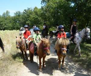 photo Centre equestre pegase St Michel L Observatoire 2601