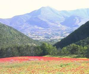 photo Camping municipal Rosans 10197