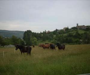 Gite Relais De La Graviere