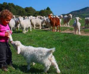 Ferme Du Col (la)