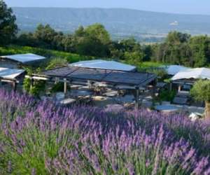 photo Domaine de la coquillade Gargas 5762