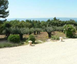 photo Le jas de joucas Joucas 8554