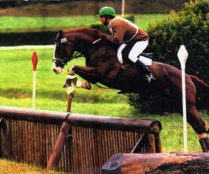 photo Ecuries de vaucroze Sorgues 8524