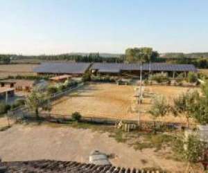 photo Scea centre equestre la marteliere Orange 10468